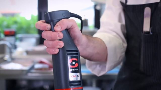 Sammic Commercial Hand Blender смотреть онлайн