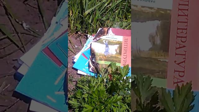 Сжигаем тетради 5 класс. смотреть онлайн