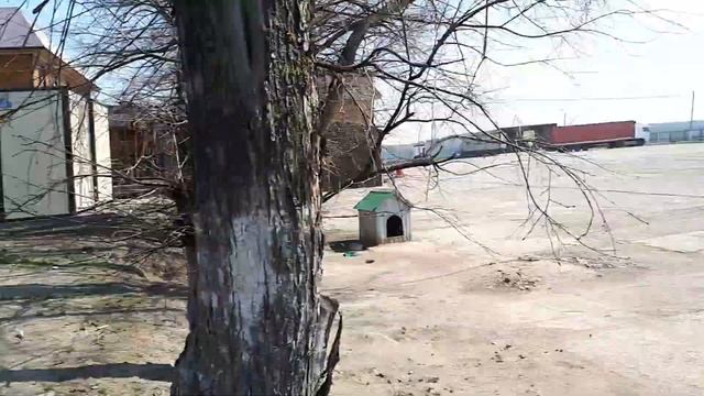 Придорожное кафе "Благодать" на трассе Тамбов-Пенза смотреть онлайн