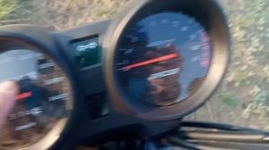 мини обзор мопеда альфы gs/альфа/мопед