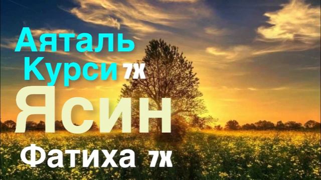 Аяталь Курси 7Х. Ясин, Аль Фатиха 7Х. Слушайте перед сном #ислам #coran #дуа #аяталькурси