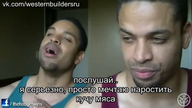 Сколько белка усваивается за один раз? Hodgetwins