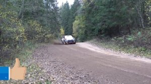 Ралли под музыку