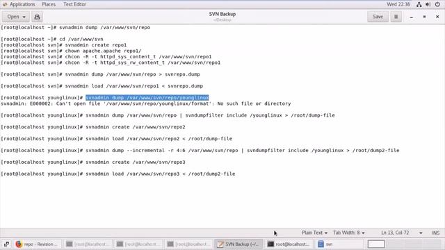SVN Backup / Dump and Restore / load subversion repositories using svnadmin and svndumpfilter смотреть онлайн