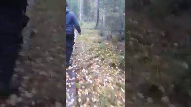 Тюменская область Муген смотреть онлайн