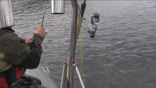 Ловозеро 2015. Ловля крупной кумжи на лайтовый спиннинг. смотреть онлайн