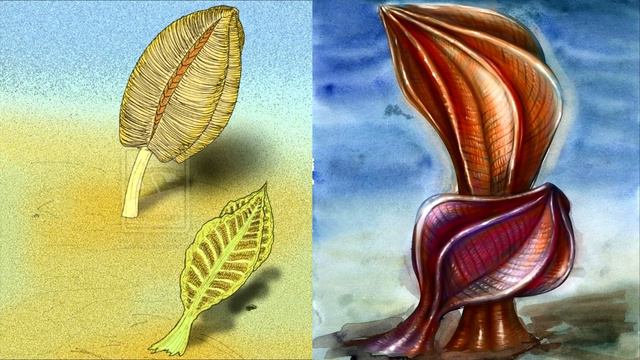 Развитие жизни на Земле (The Evolution of Life) - Рангея (Rangea schneiderhoehoni) смотреть онлайн