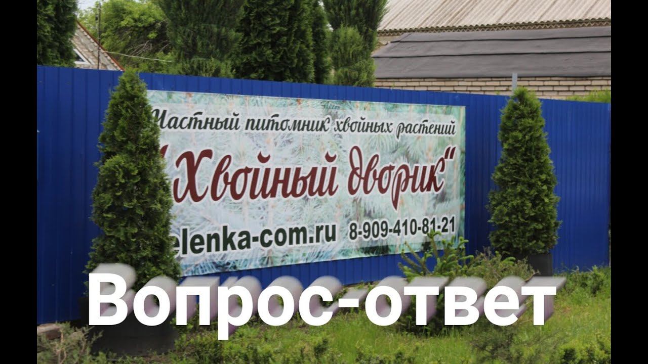Вопрос - ответ про саженцы хвойных почтой. Звонок в наш питомник хвойных растений "Хвойный дворик" смотреть онлайн