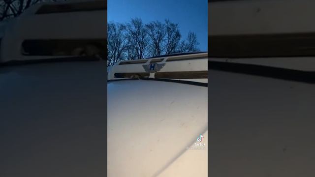 СОВА ЗАСТРЯЛА В МАШИНЕ смотреть онлайн