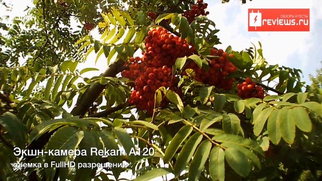 Rekam A120 съемка при ярком солнечном свете смотреть онлайн
