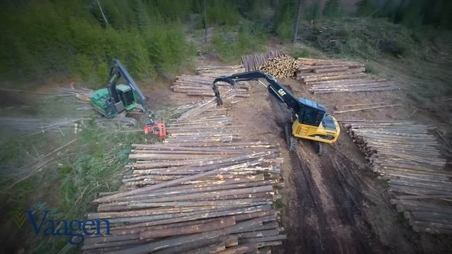 Vaagen Brothers Lumber - Start To Finish Logging смотреть онлайн