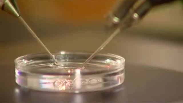 Украшение елки