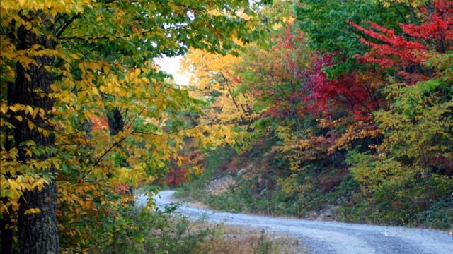 TAKE ME HOME, COUNTRY ROADS - JOHN DENVER – (COVER) APOLINARIS D’SOUZA смотреть онлайн