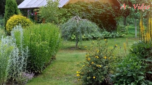 Ландшафтный дизайн Лучшие идеи для творчества / Landscape design The best solutions for creativity смотреть онлайн