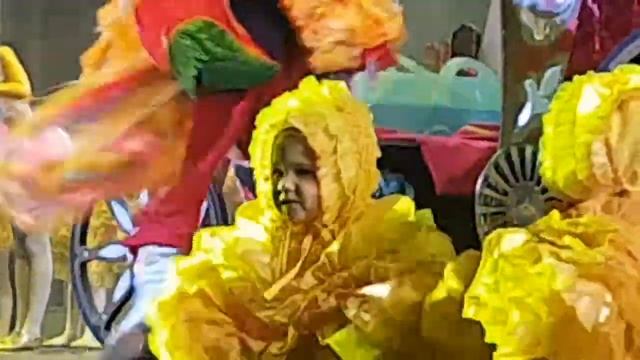 Сонечка-цыпленок Новогодний экспресс 25.12.2017 смотреть онлайн