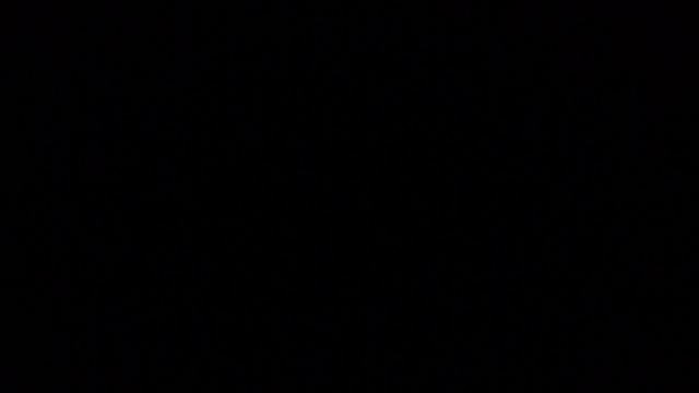 Ковчег Ноха а.с. Бывает и такое смотреть онлайн