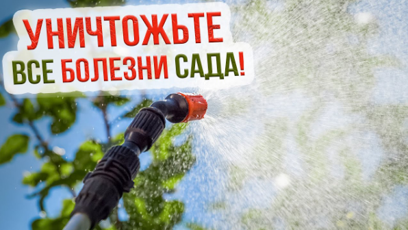 Искореняющая осенняя обработка сада от вредителей и болезней.mp4