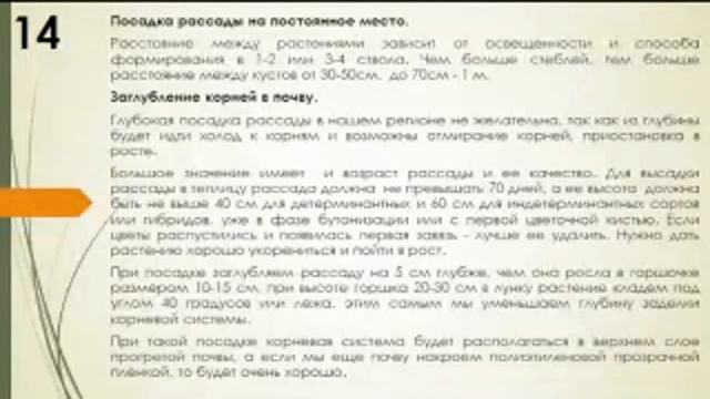 Фрагмент записи вебинара "БОЛЕЗНИ ТОМАТОВ. ПРАВИЛЬНЫЕ ПОДКОРМКИ. Томаты Часть 3 Надежда Марценюк смотреть онлайн