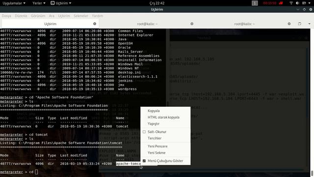 Metasploitable 3 :Making and using Exploits (part3) смотреть онлайн