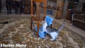 Смешное Видео А ну ка Давай ка - XD