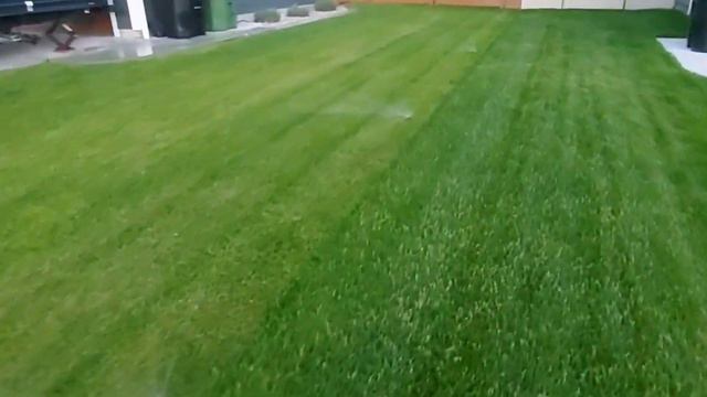 У соседа трава зеленее смотреть онлайн