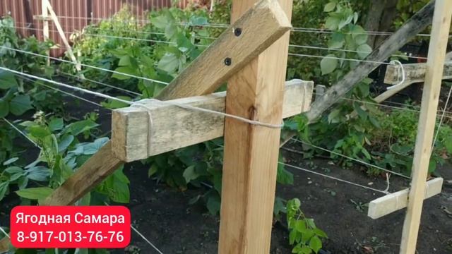 Шпалеры для малины смотреть онлайн