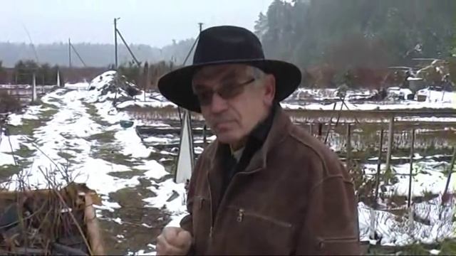 Голубика и ранняя зима смотреть онлайн
