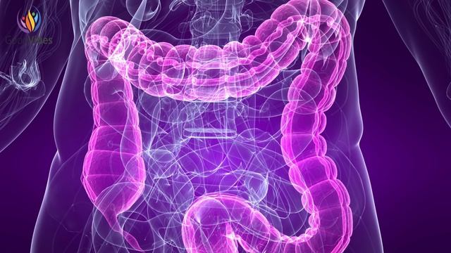 Stomach Healing Frequency Music: Stomach Pain Relief, Digestive Frequency смотреть онлайн