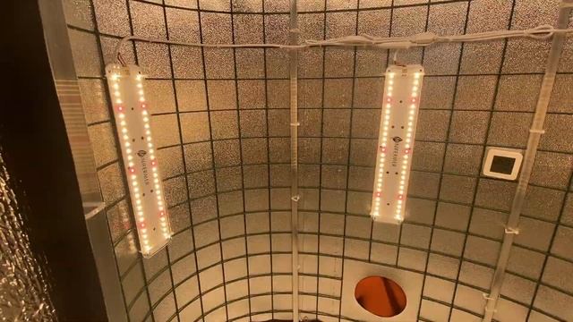 Гроубокс Овальный-2023 от Growtube. Наша самый овальный гроубокс. смотреть онлайн