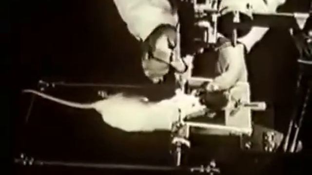 Физиология:электрофизиология ЦНС