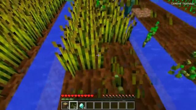 КАК ВЫРАСТИТЬ АЛМАЗЫ В МАЙНКРАФТ смотреть онлайн