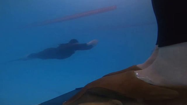 Фридайвинг в бассейне Моноласта и развороты тренировка смотреть онлайн
