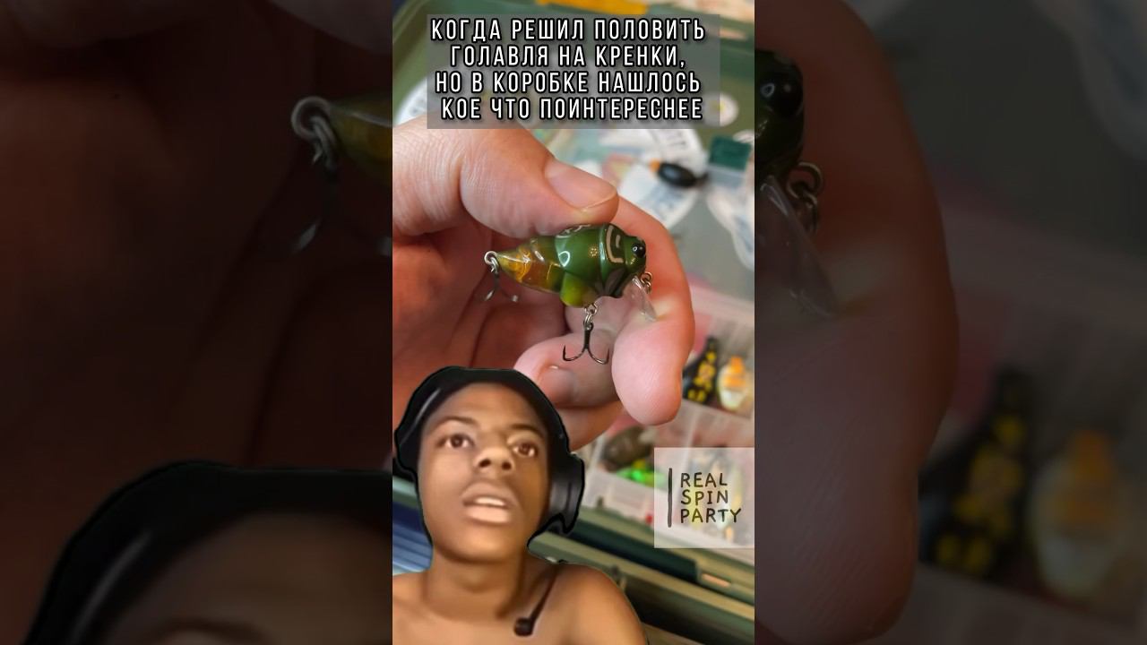 Когда нашел кое-что поинтереснее #легкаярыбалка #рыбалка #юмор #мемы #голавль #спиннинг #воблеры смотреть онлайн