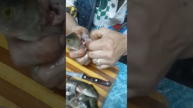 Как почистить быстро рыбу. смотреть онлайн