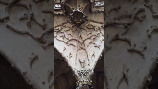 Видеообзор Собор Святого Вита, Пражский град, Старый Королевский Дворец, Злата Уличка 31.05.2021 смотреть онлайн
