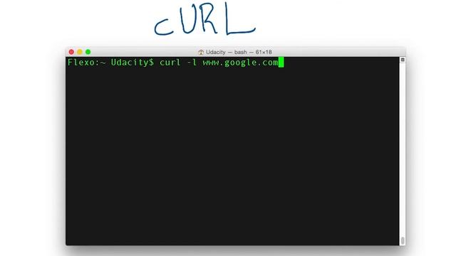 Sending API Requests with Postman and Curl смотреть онлайн