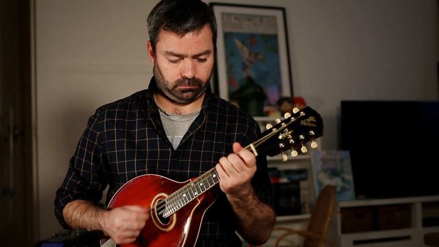 Mandolin tunes. Martin Rochford's reel смотреть онлайн