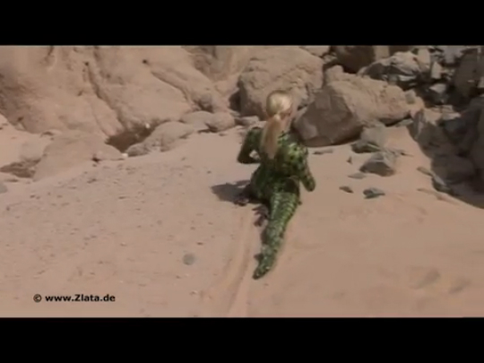 Lizard Zlata - Sendy