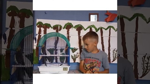 Корелла ест. Попугаи. Уход за кореллой