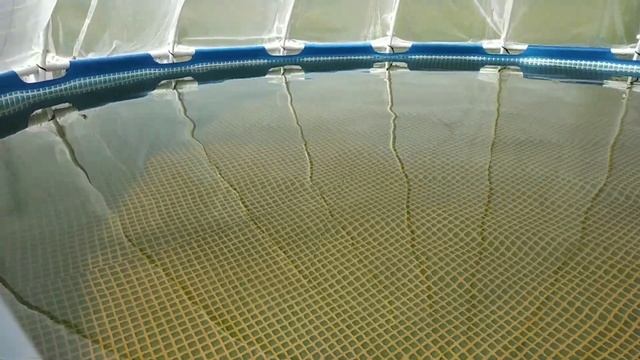 Замена насоса для песочного фильтра на новый и ужас воды. смотреть онлайн