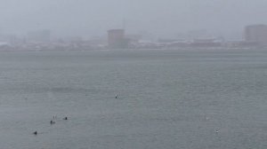 Снег в марте. Махачкала. Редукторный. 2021 год.