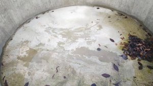 Бассейн из бетонного кольца. Состояние перед зимой.