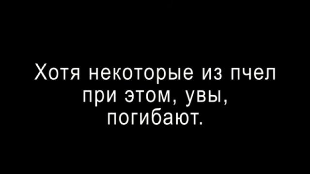 Магическое отражение будущего