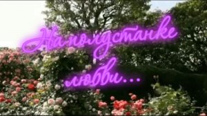 Гр.Россияне - На полустанке любви.