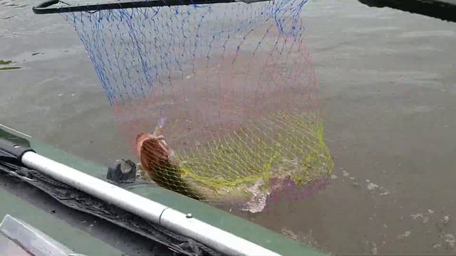 Кама..2-3.07.-2020(2) смотреть онлайн