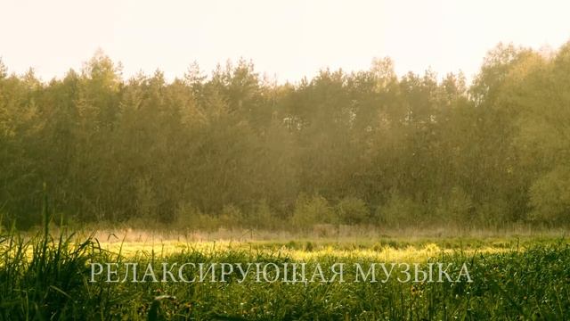 Релакс музыка для медитации и отдыха. Релаксация под дождем. Relax музыка успокаивающая. смотреть онлайн
