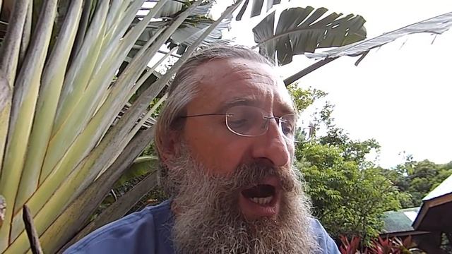 09 Геродот История МЕЛЬПОМЕНА смотреть онлайн