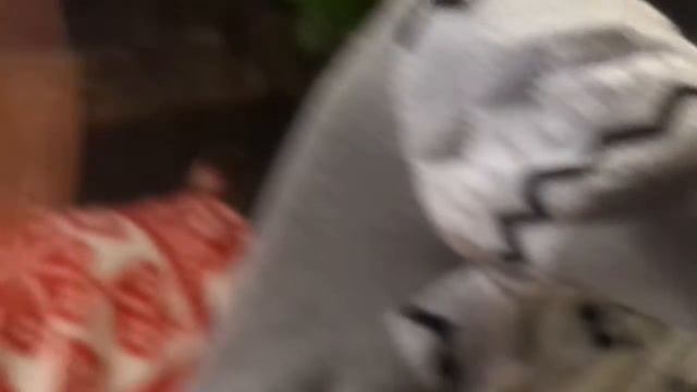 Лего самоделка "Военные события" смотреть онлайн