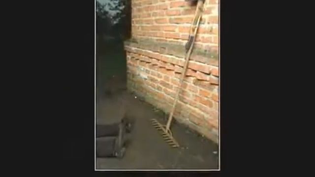 ГРАБЛИ Наступая на одни и те же грабли автор клипа Зоя Боур-Москаленко смотреть онлайн