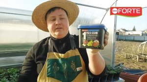 Как правильно пересадить петунии в кашпо и чем подкармливать, рассказал агроном Борис Борисов